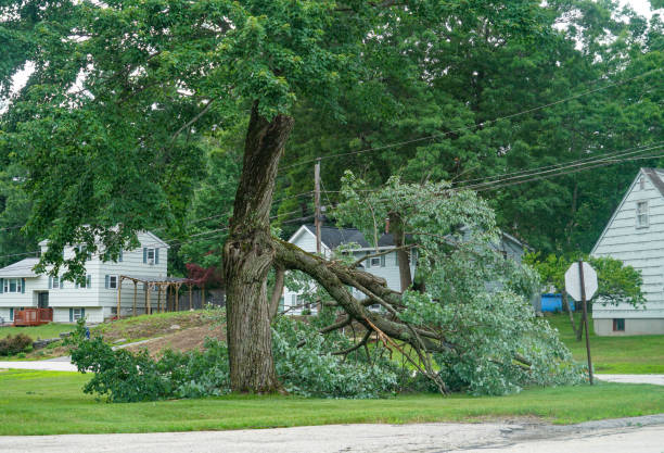 Best Leaf Removal  in Newcomerstown, OH